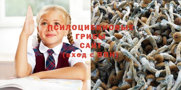 прущая мука Алексин
