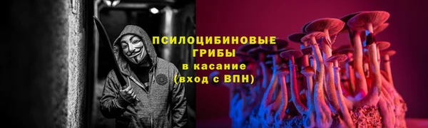 амф Алексеевка