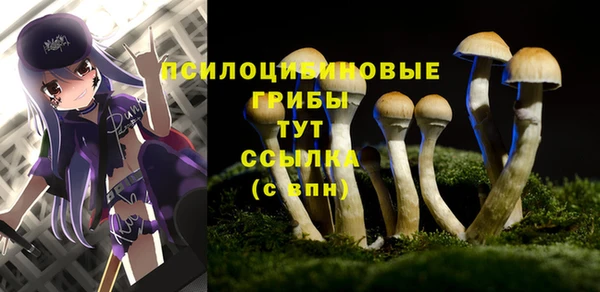 винт Алзамай