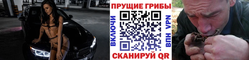 omg ONION  Жуковский  Псилоцибиновые грибы Cubensis 