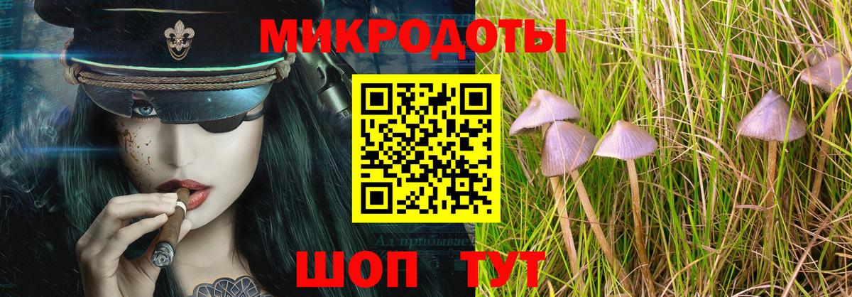 Псилоцибиновые грибы MAGIC MUSHROOMS Жуковский